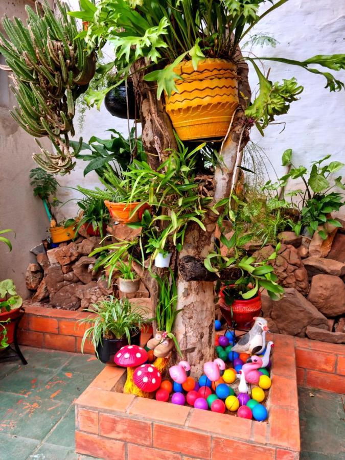 Hostal Jardin De Luque San Lorenzo Εξωτερικό φωτογραφία